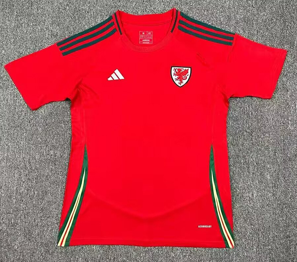 2024-25 wales home
