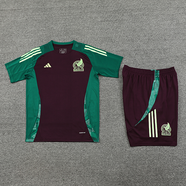 2024-25 Mexico Short sleeve Training suit