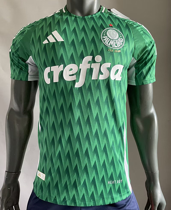 2024-25 Palmeiras Green player version