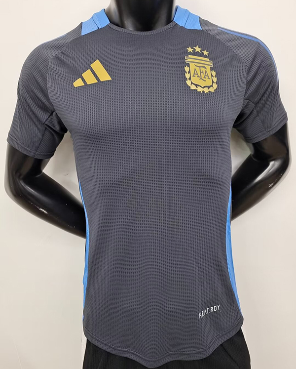 2024-25 Argentina Gray player version
