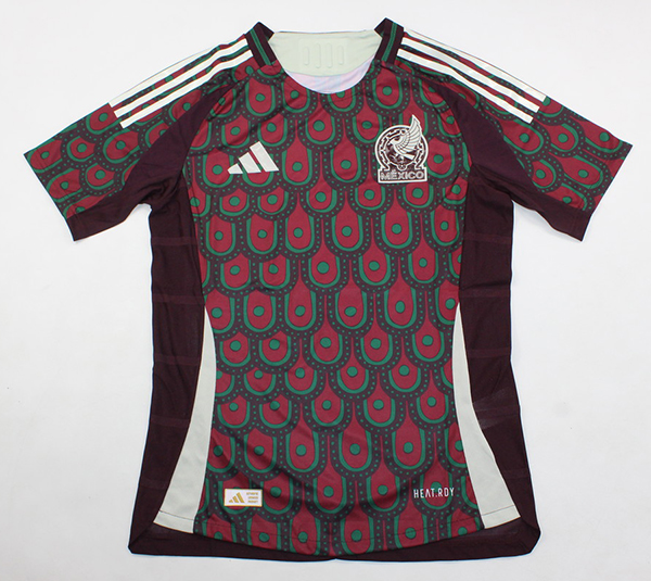2024-25 Mexico home player version