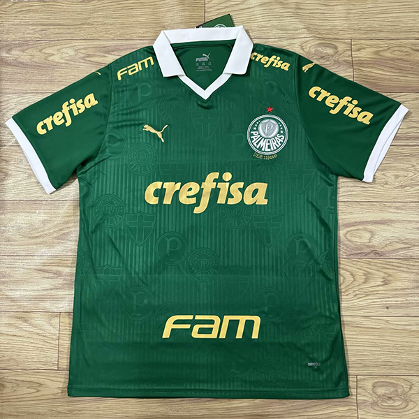 2024-25 Palmeiras home With advertisements