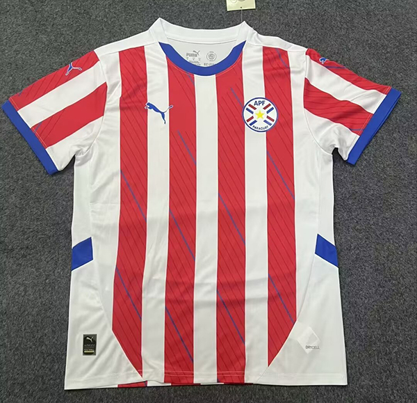 2024-25 Paraguay home
