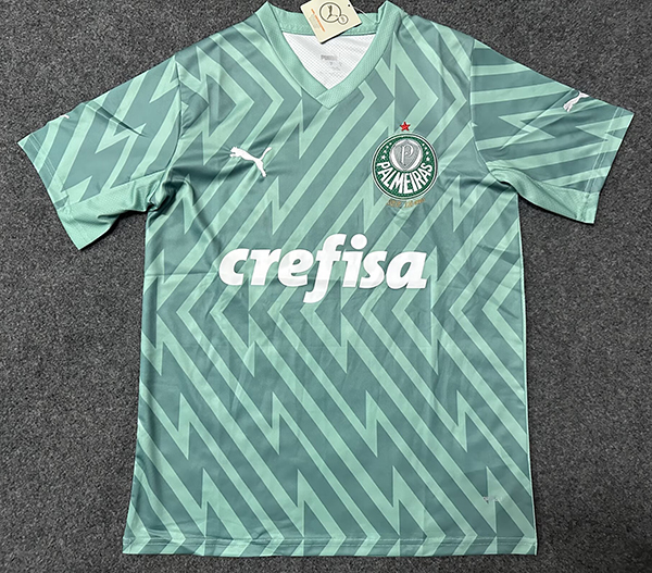 2024-25 Palmeiras GK