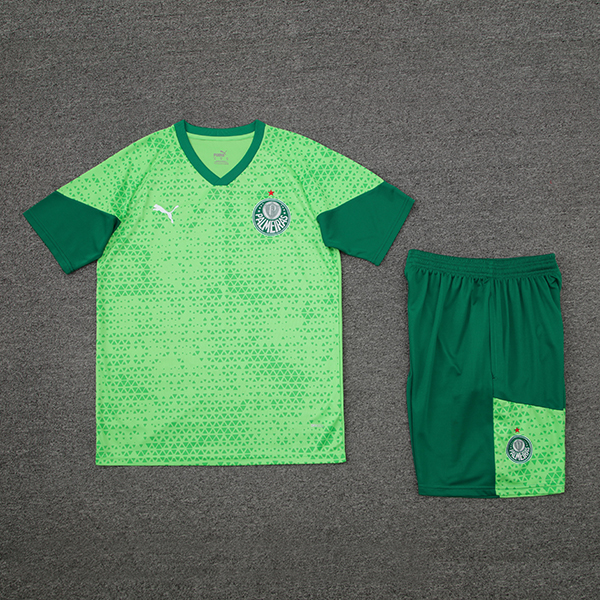 2024-25 Palmeiras Short sleeved training suit